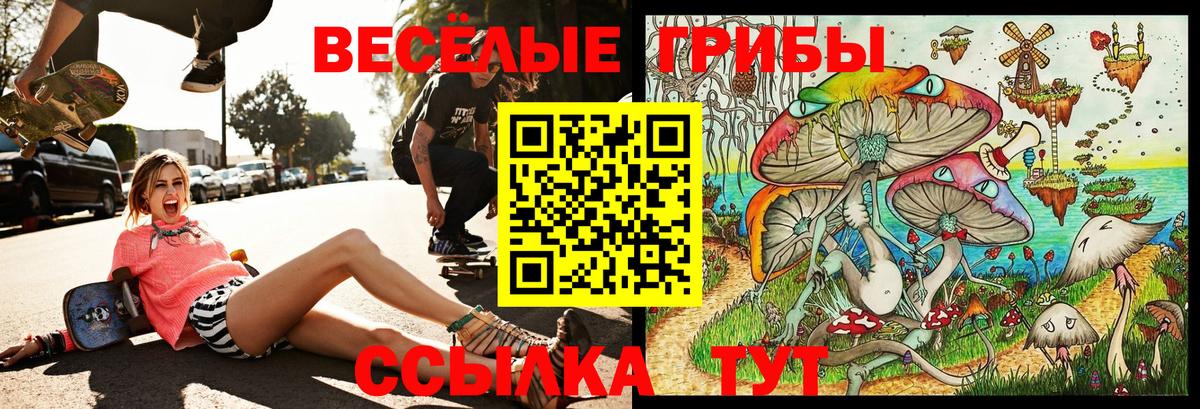 Златоуст  Галлюциногенные грибы прущие грибы  Вход с VPN 
